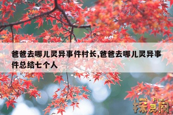 爸爸去哪儿灵异事件村长,爸爸去哪儿灵异事件总结七个人
