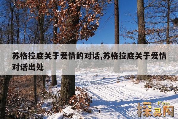 苏格拉底关于爱情的对话,苏格拉底关于爱情对话出处