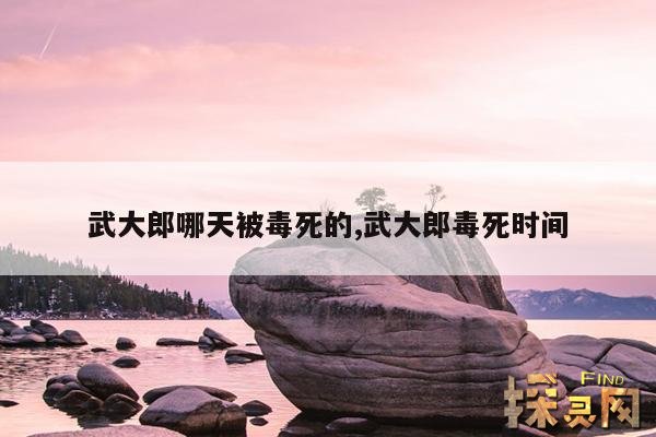 武大郎哪天被毒死的,武大郎毒死时间