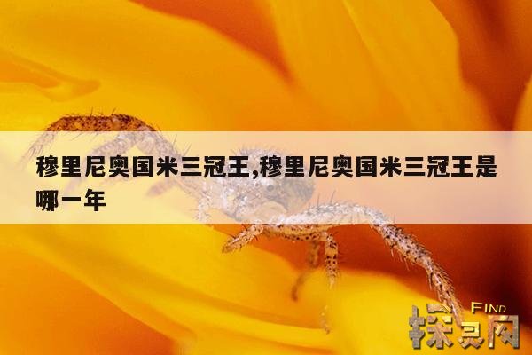 穆里尼奥国米三冠王,穆里尼奥国米三冠王是哪一年