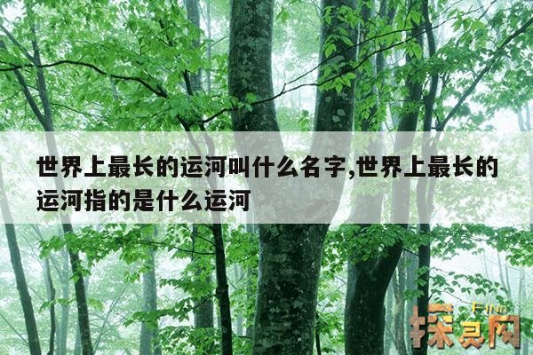 世界上最长的运河叫什么名字,世界上最长的运河指的是什么运河