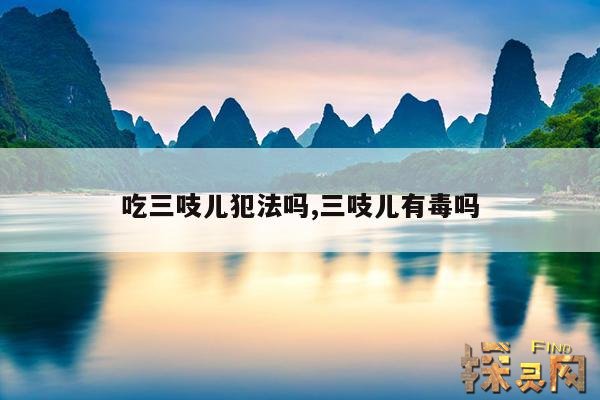 吃三吱儿犯法吗,三吱儿有毒吗