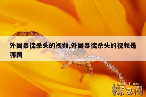 外国暴徒杀头的视频,外国暴徒杀头的视频是哪国
