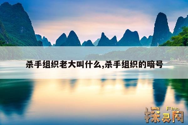 杀手组织老大叫什么,杀手组织的暗号