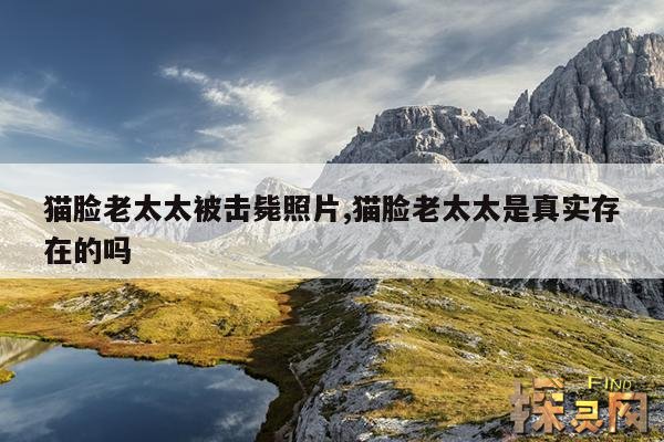 猫脸老太太被击毙照片,猫脸老太太是真实存在的吗