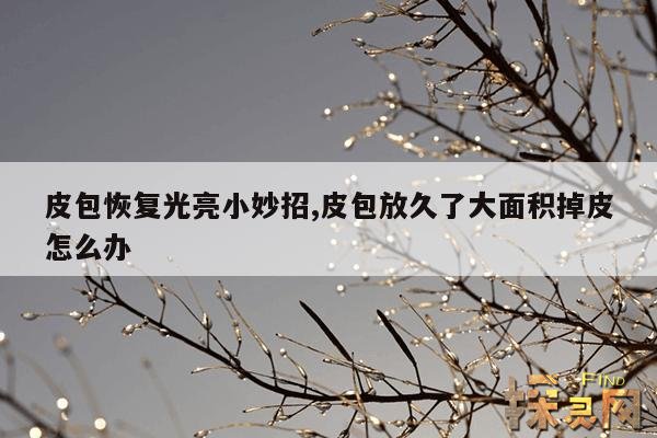 皮包恢复光亮小妙招,皮包放久了大面积掉皮怎么办