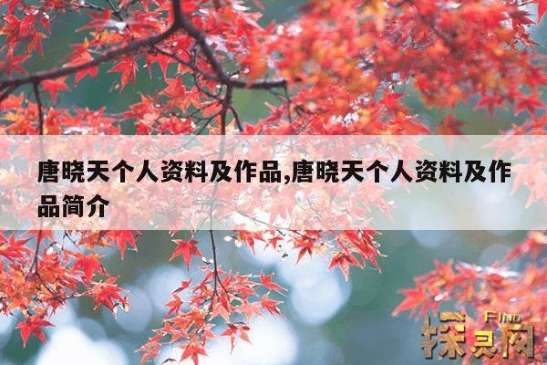 唐晓天个人资料及作品,唐晓天个人资料及作品简介