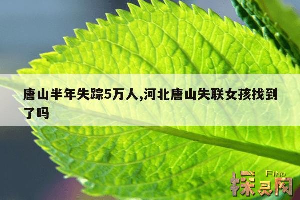唐山半年失踪5万人,河北唐山失联女孩找到了吗