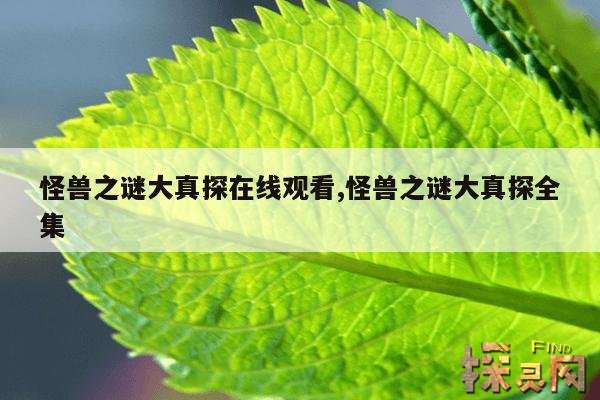 怪兽之谜大真探在线观看,怪兽之谜大真探全集