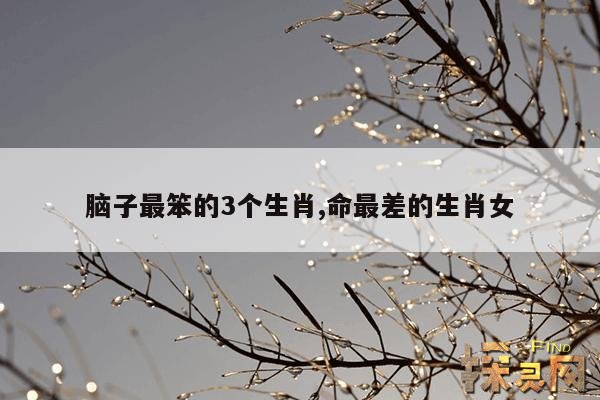 脑子最笨的3个生肖,命最差的生肖女