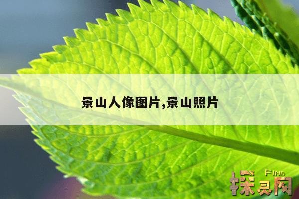 景山人像图片,景山照片