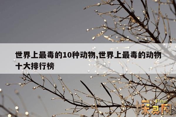 世界上最毒的10种动物,世界上最毒的动物十大排行榜