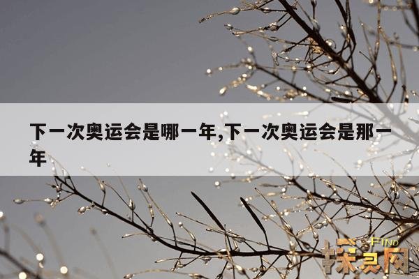 下一次奥运会是哪一年,下一次奥运会是那一年