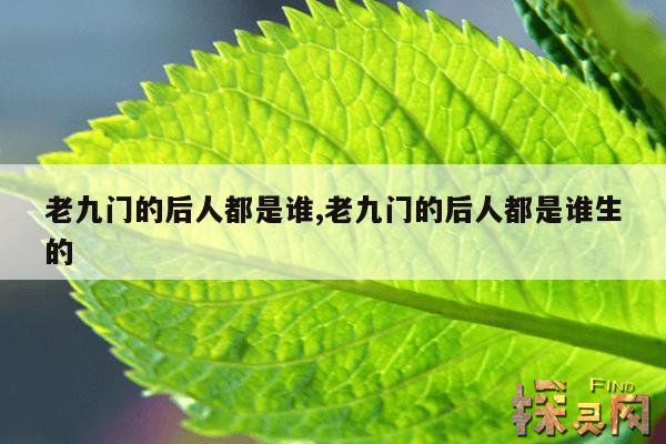 老九门的后人都是谁,老九门的后人都是谁生的