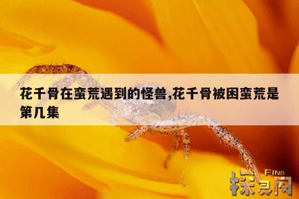 花千骨在蛮荒遇到的怪兽,花千骨被困蛮荒是第几集