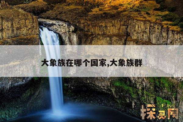 大象族在哪个国家,大象族群