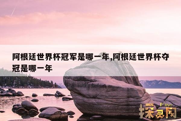 阿根廷世界杯冠军是哪一年,阿根廷世界杯夺冠是哪一年