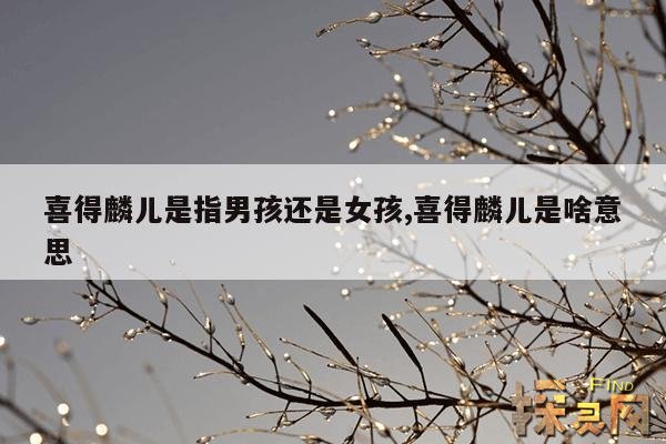 喜得麟儿是指男孩还是女孩,喜得麟儿是啥意思
