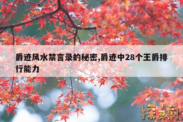 爵迹风水禁言录的秘密,爵迹中28个王爵排行能力
