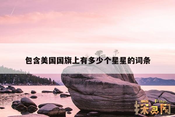 包含美国国旗上有多少个星星的词条