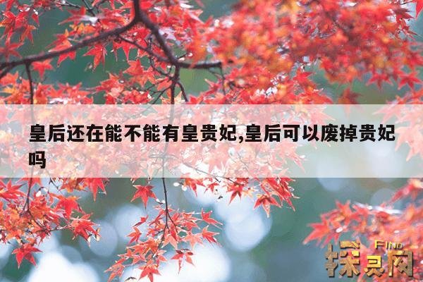 皇后还在能不能有皇贵妃,皇后可以废掉贵妃吗