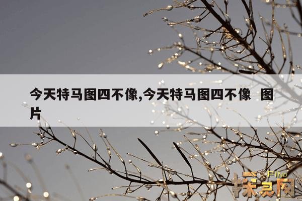 今天特马图四不像,今天特马图四不像  图片