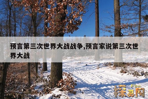 预言第三次世界大战战争,预言家说第三次世界大战
