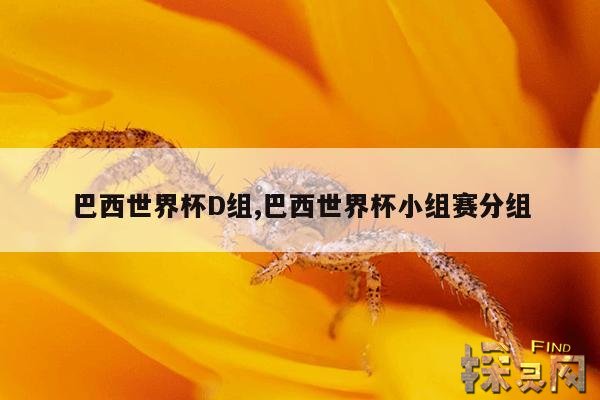 巴西世界杯D组,巴西世界杯小组赛分组