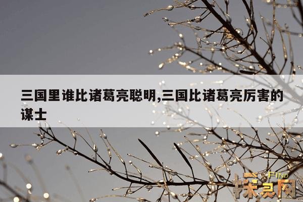 三国里谁比诸葛亮聪明,三国比诸葛亮厉害的谋士