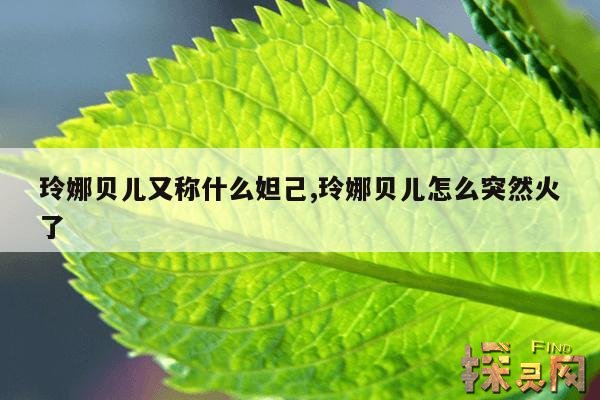 玲娜贝儿又称什么妲己,玲娜贝儿怎么突然火了