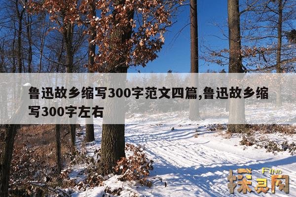 鲁迅故乡缩写300字范文四篇,鲁迅故乡缩写300字左右