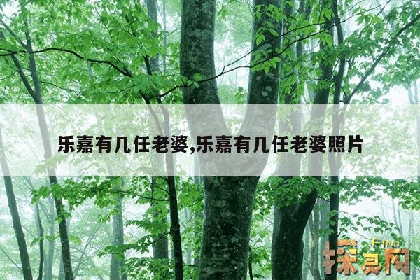 乐嘉有几任老婆,乐嘉有几任老婆照片