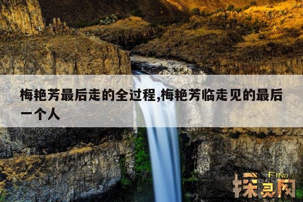 梅艳芳最后走的全过程,梅艳芳临走见的最后一个人