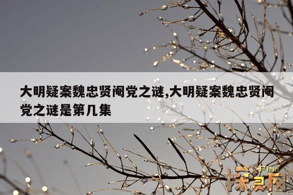 大明疑案魏忠贤阉党之谜,大明疑案魏忠贤阉党之谜是第几集