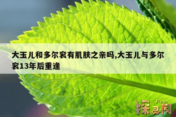 大玉儿和多尔衮有肌肤之亲吗,大玉儿与多尔衮13年后重逢