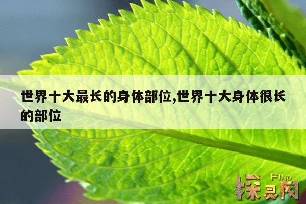 世界十大最长的身体部位,世界十大身体很长的部位