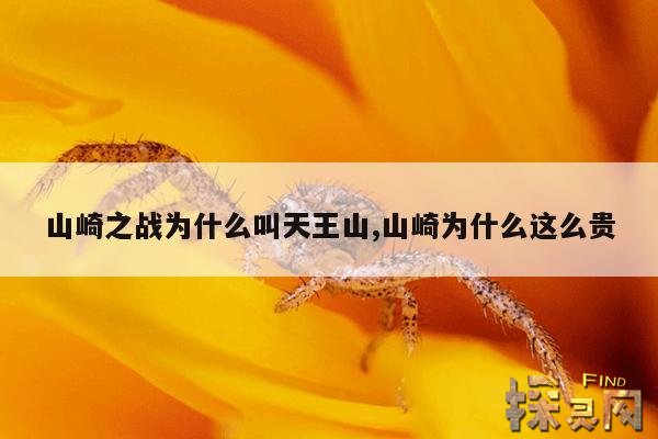 山崎之战为什么叫天王山,山崎为什么这么贵