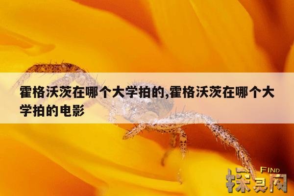 霍格沃茨在哪个大学拍的,霍格沃茨在哪个大学拍的电影