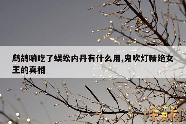 鹧鸪哨吃了蜈蚣内丹有什么用,鬼吹灯精绝女王的真相