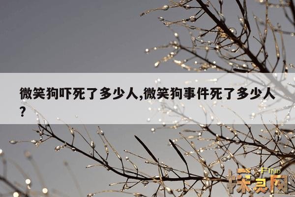 微笑狗吓死了多少人,微笑狗事件死了多少人?