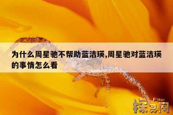 为什么周星驰不帮助蓝洁瑛,周星驰对蓝洁瑛的事情怎么看