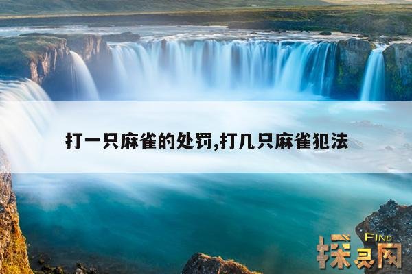 打一只麻雀的处罚,打几只麻雀犯法