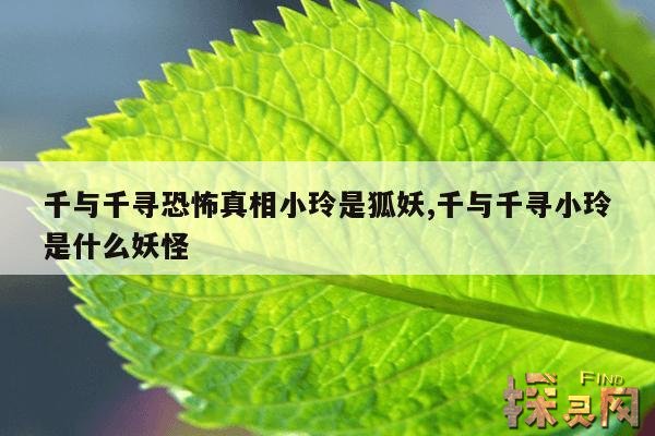 千与千寻恐怖真相小玲是狐妖,千与千寻小玲是什么妖怪