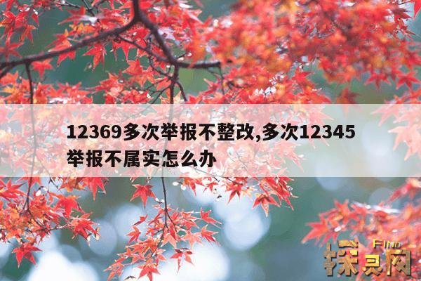 12369多次举报不整改,多次12345举报不属实怎么办