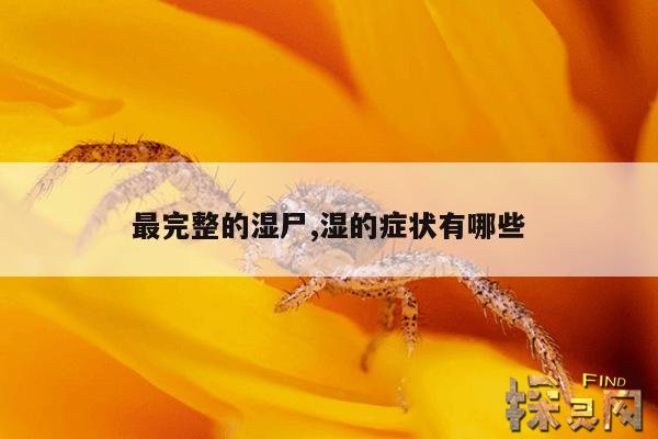 最完整的湿尸,湿的症状有哪些