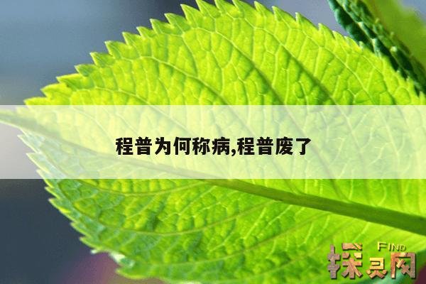 程普为何称病,程普废了
