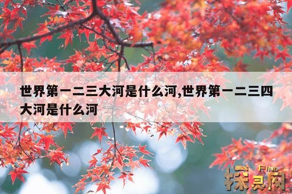 世界第一二三大河是什么河,世界第一二三四大河是什么河