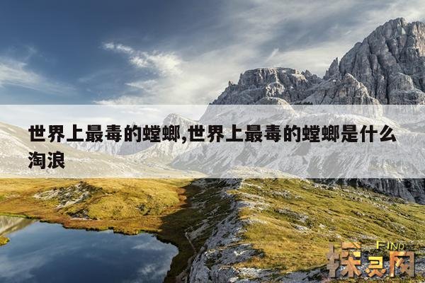 世界上最毒的螳螂,世界上最毒的螳螂是什么淘浪