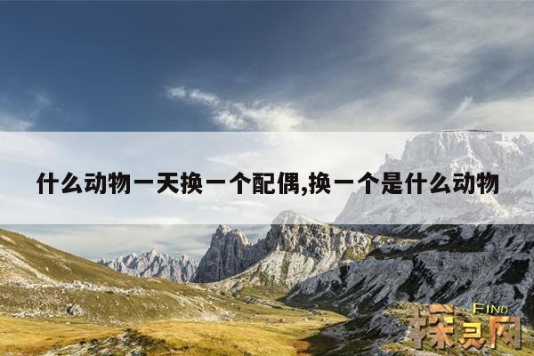 什么动物一天换一个配偶,换一个是什么动物