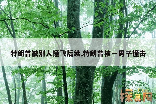 特朗普被别人撞飞后续,特朗普被一男子撞击